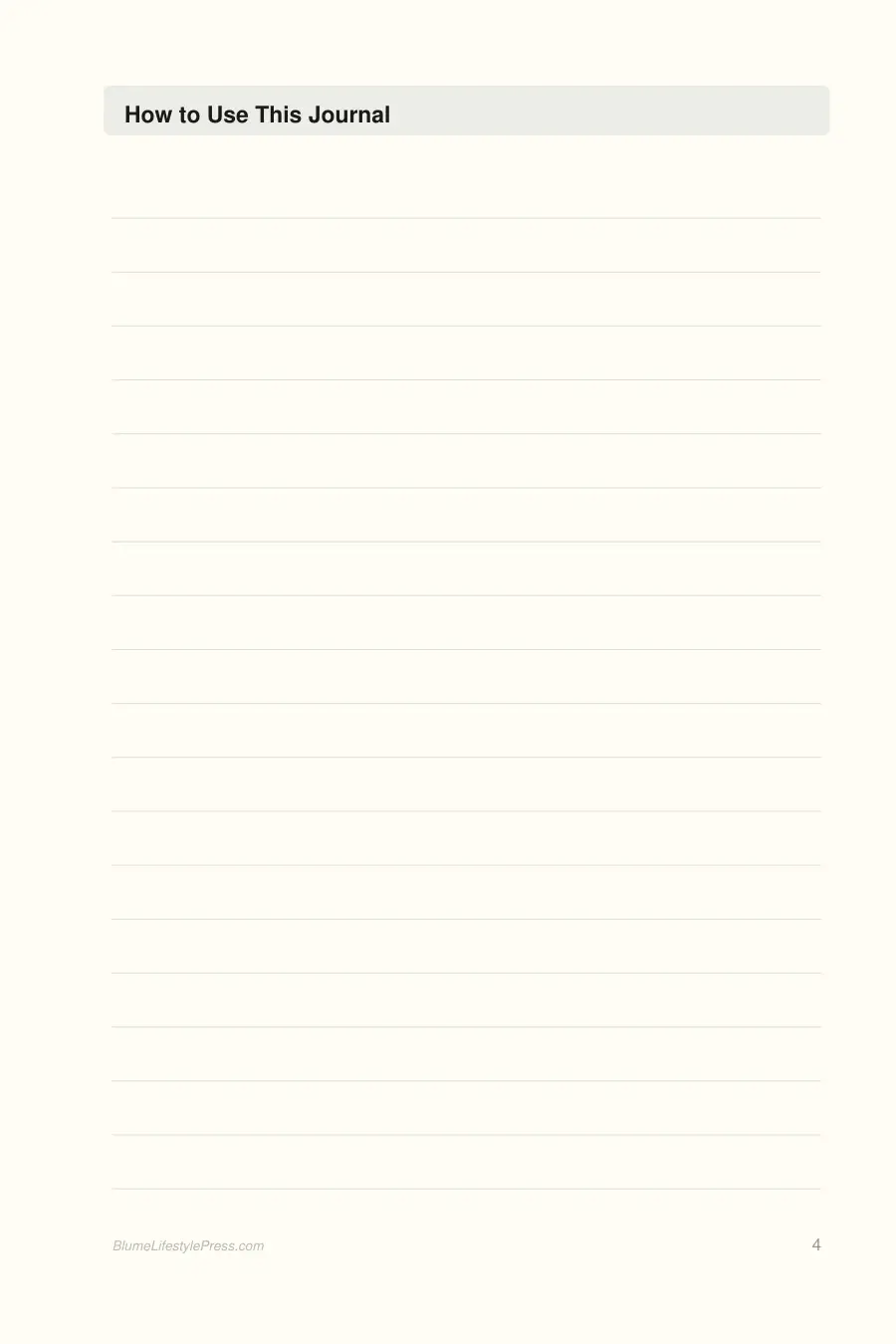 Beauty Routine & Results Journal interior page preview — structured journal layout