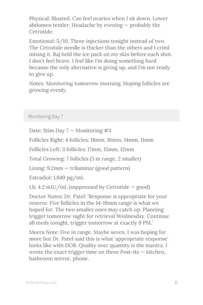 IVF & Fertility Treatment Journal interior page preview — structured journal layout