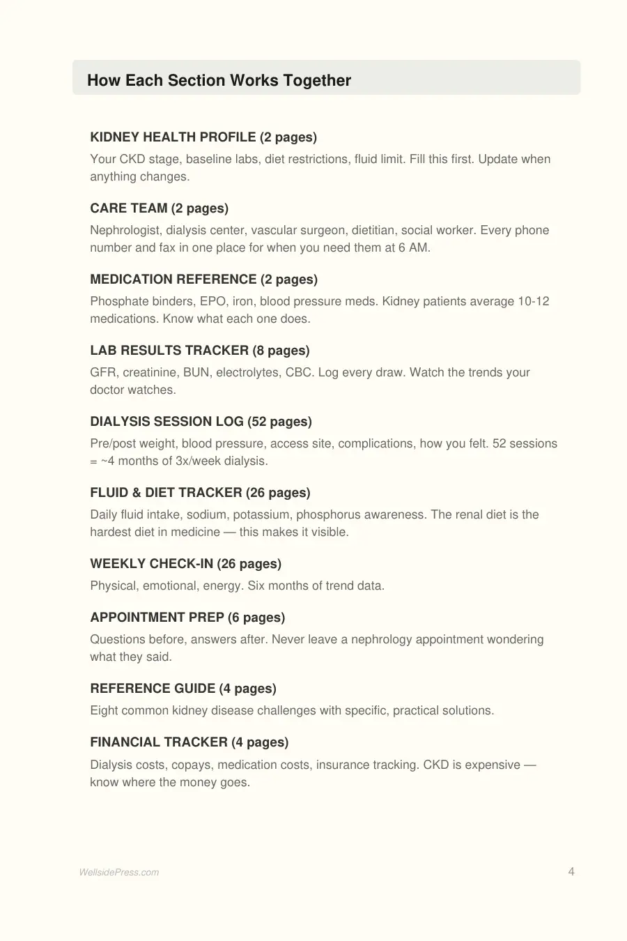 Kidney Disease & Dialysis Treatment Journal interior page preview — structured journal layout